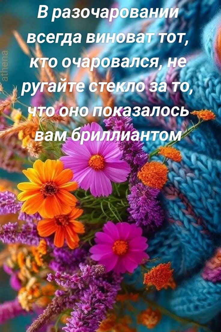 В разочаровании всегда виноват тот, кто очаровывался, не ругайте стекло за то, что оно показалось вам бриллиantom