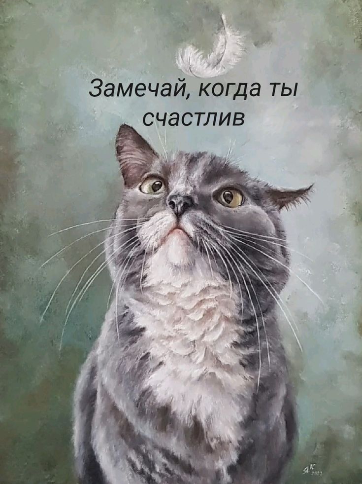 Замечай, когда ты счастлив