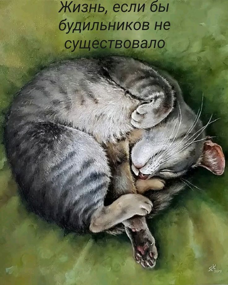 Жизнь, если бы будильников не существовало