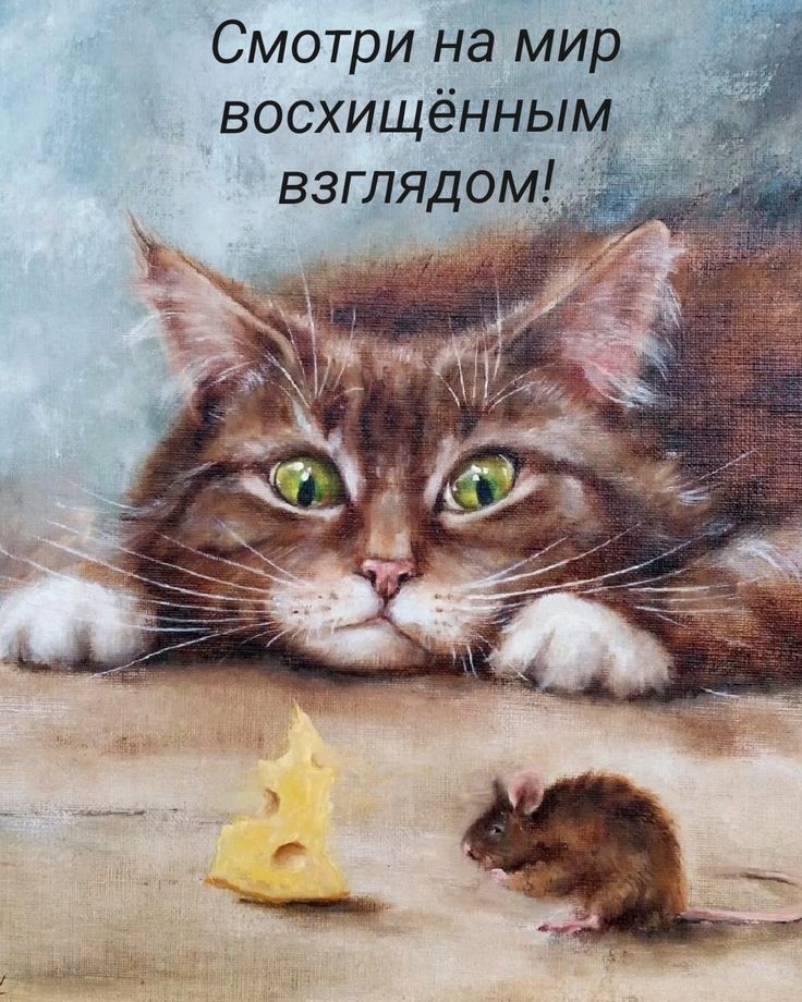 Смотри на мир восхищённым взглядом!
