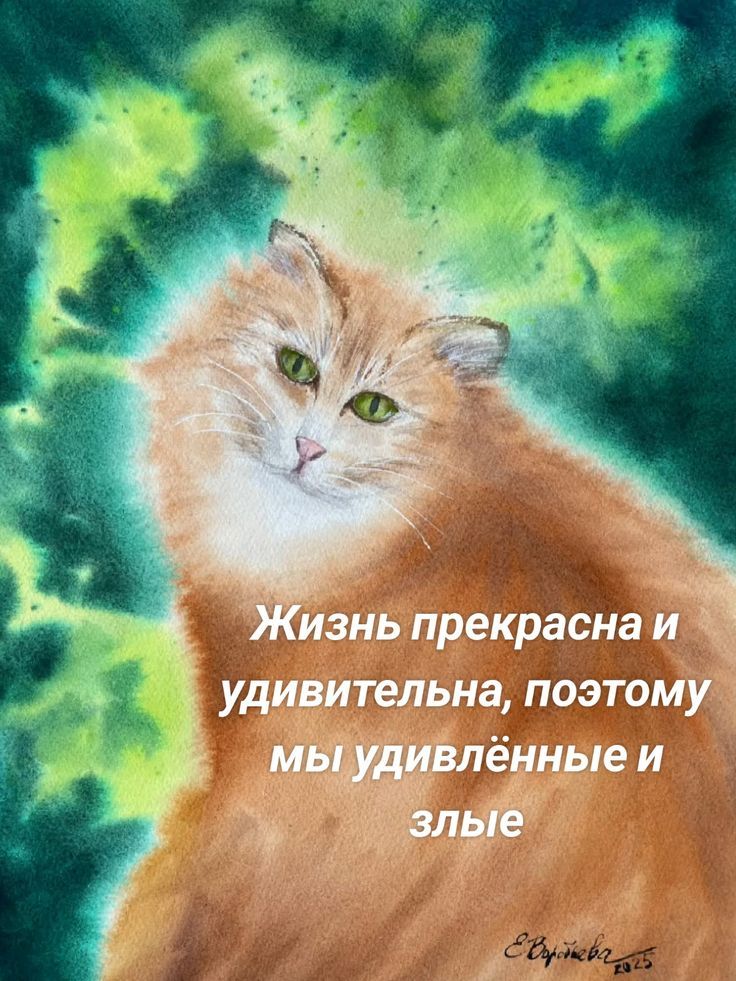 Жизнь прекрасна и удивительна, поэтому мы удивлённые и злые