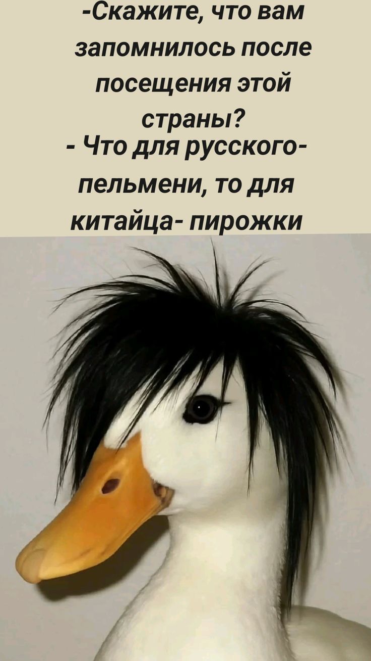 -Скажите, что вам запомнилось после посещения этой страны? - Что для русского- пельмени, то для китайца- пирожки