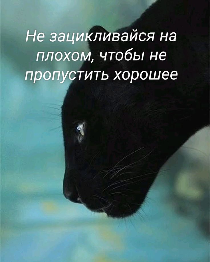 Не зацикливайся на плохом, чтобы не пропустить хорошее