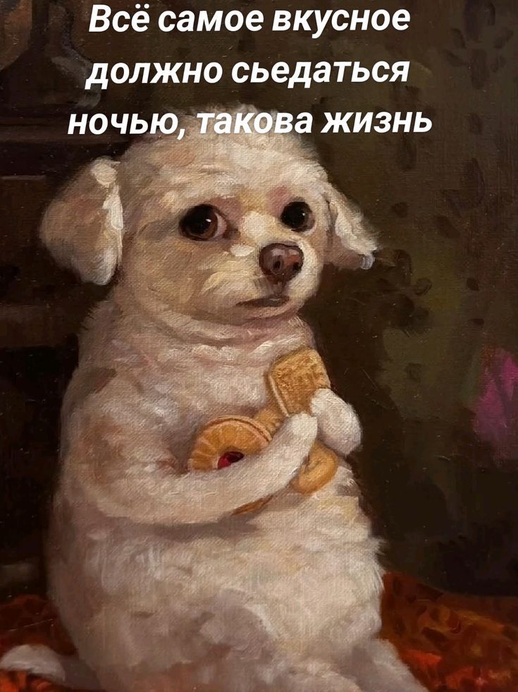 Всё самое вкусное должно съедаться ночью, такова жизнь