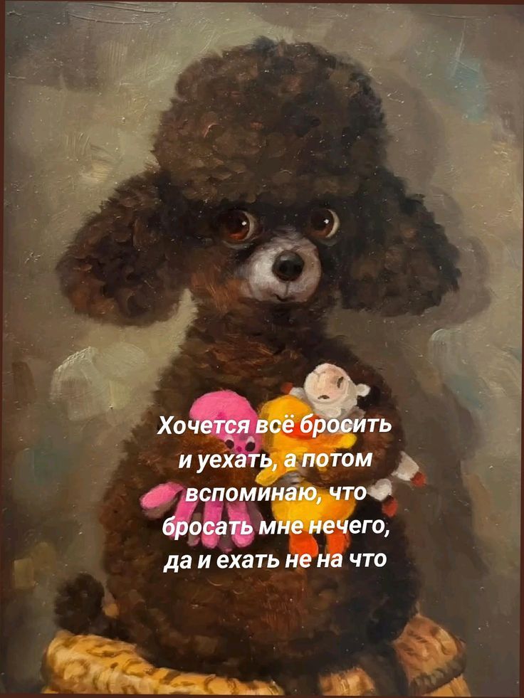 Хочется всё бросить и уехать, а потом вспоминаю, что бросать мне нечего, да и ехать не на что