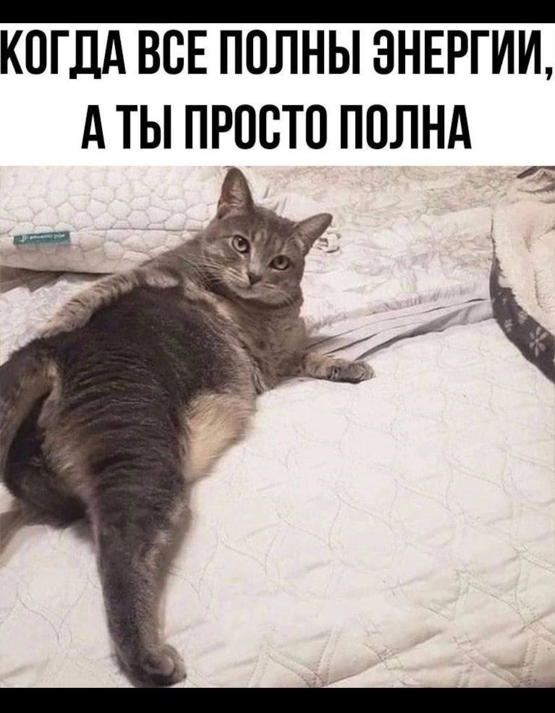 Когдa все полны энергии, а ты просто полна