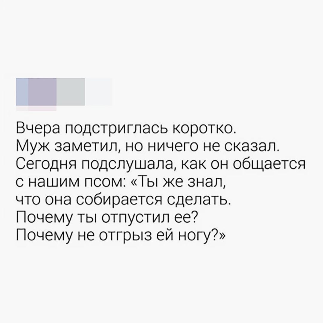 Вчера подстриглась коротко.
Муж заметил, но ничего не сказал.
Сегодня подслушала, как он общается с нашим псом: «Ты же знал, что она собирается сделать.
Почему ты отпустил ее? Почему не отгрыз ей ногу?»