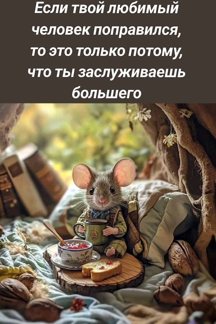 Если твой любимый человек поправился, то это только потому, что ты заслуживаешь большего