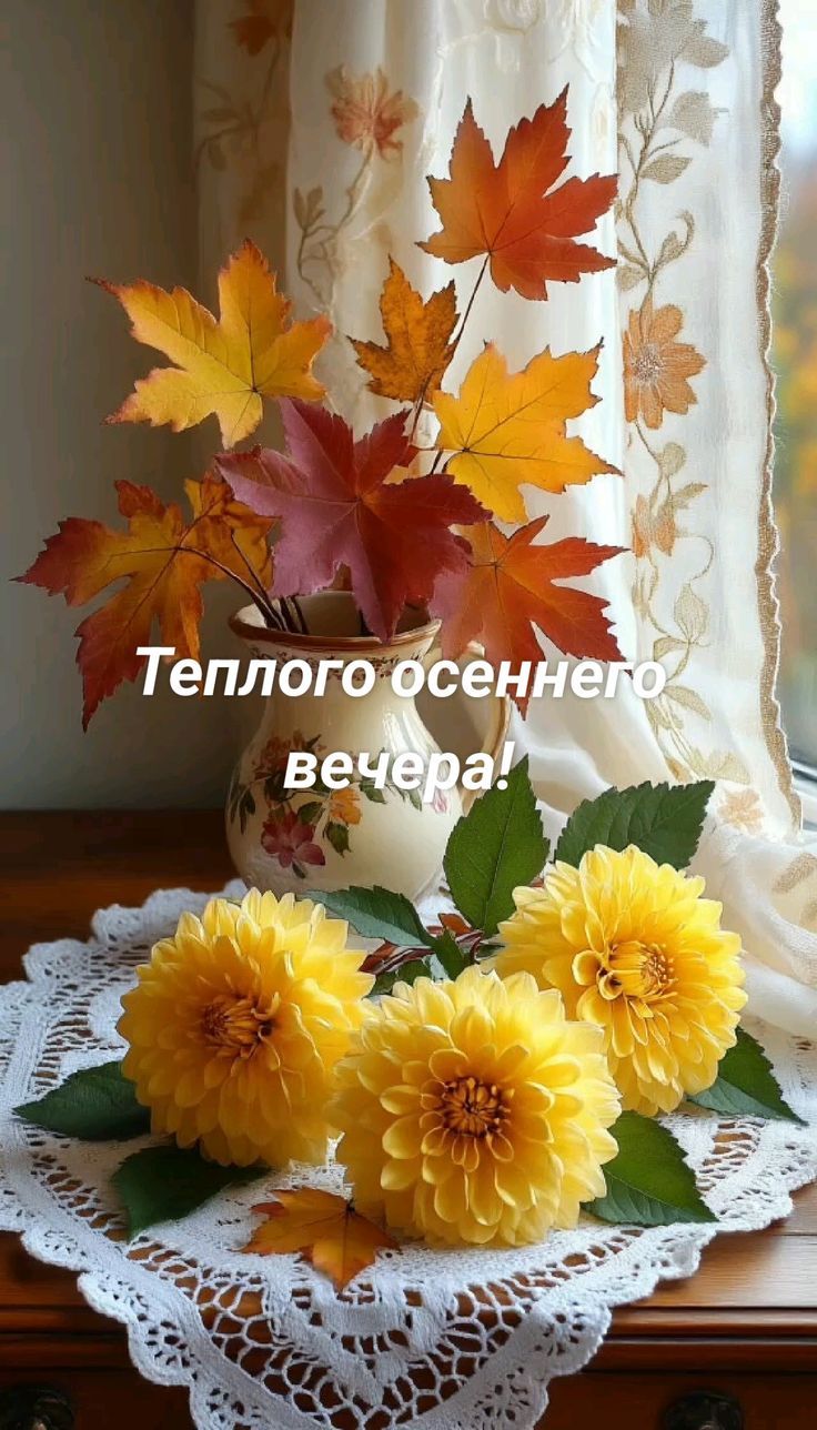Теплого осеннего вечера!