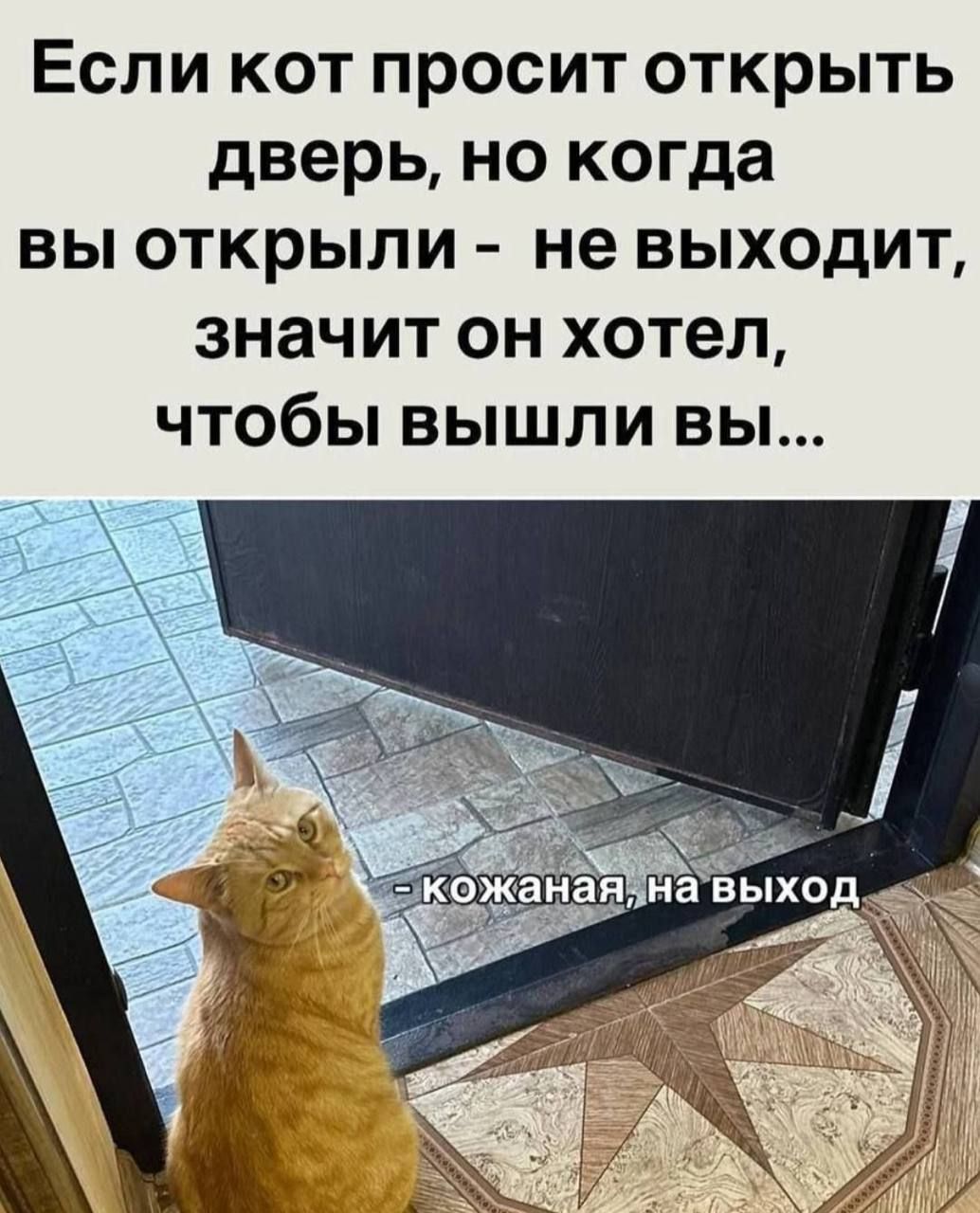 Если кот просит открыть дверь, но когда вы открыли - не выходит, значит он хотел, чтобы вышли вы...

- кожаная, на выход