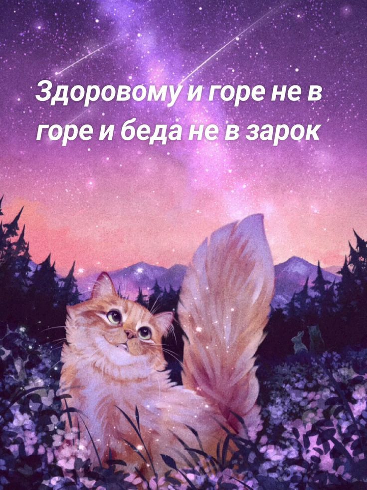 Здоровому и горе не в горе и беда не в зрок