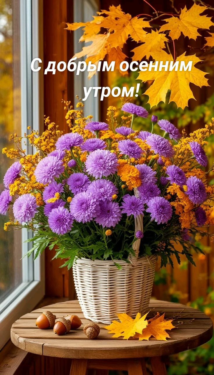 С добрым осенним утром!