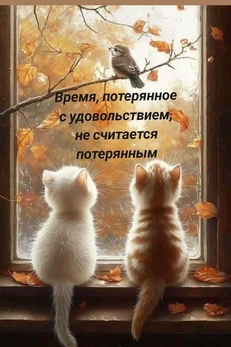 Время, потерянное с удовольствием, не считается потерянным