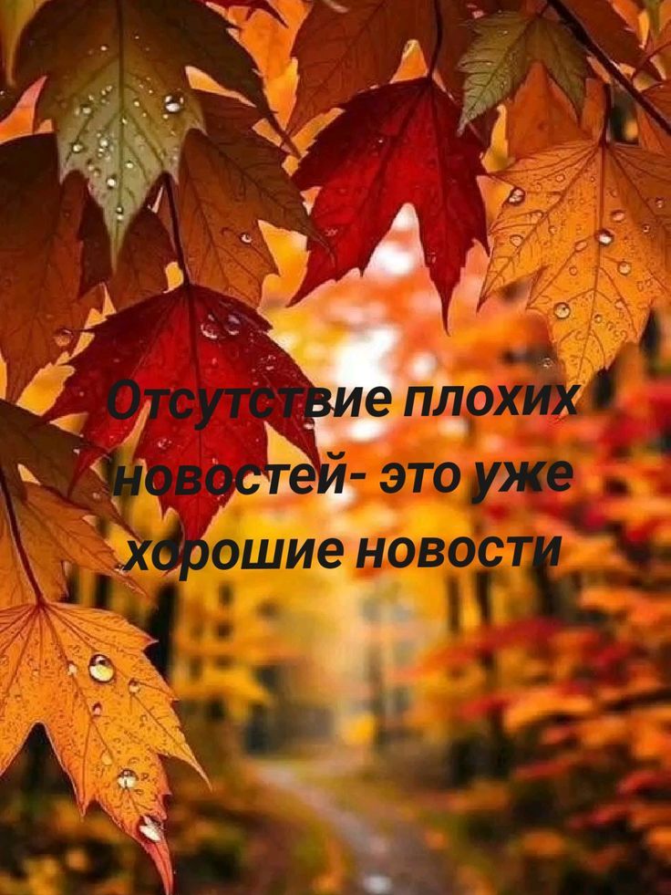 Отсутствие плохих новостей - это уже хорошие новости