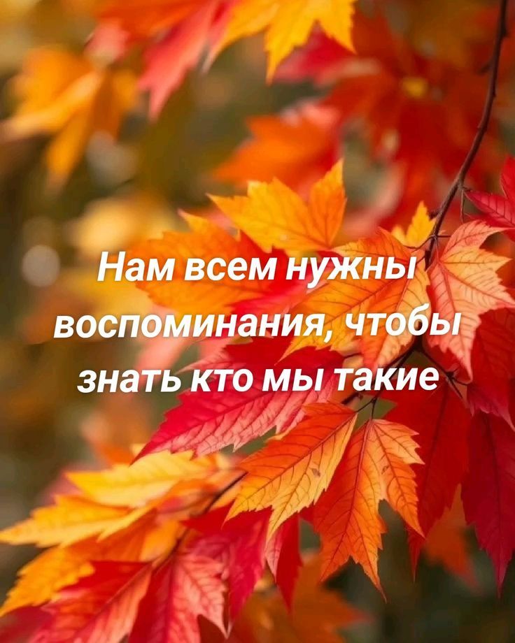 Нам всем нужны воспоминания, чтобы знать кто мы такие