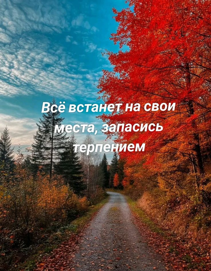 Всё встанет на свои места, запасись терпением