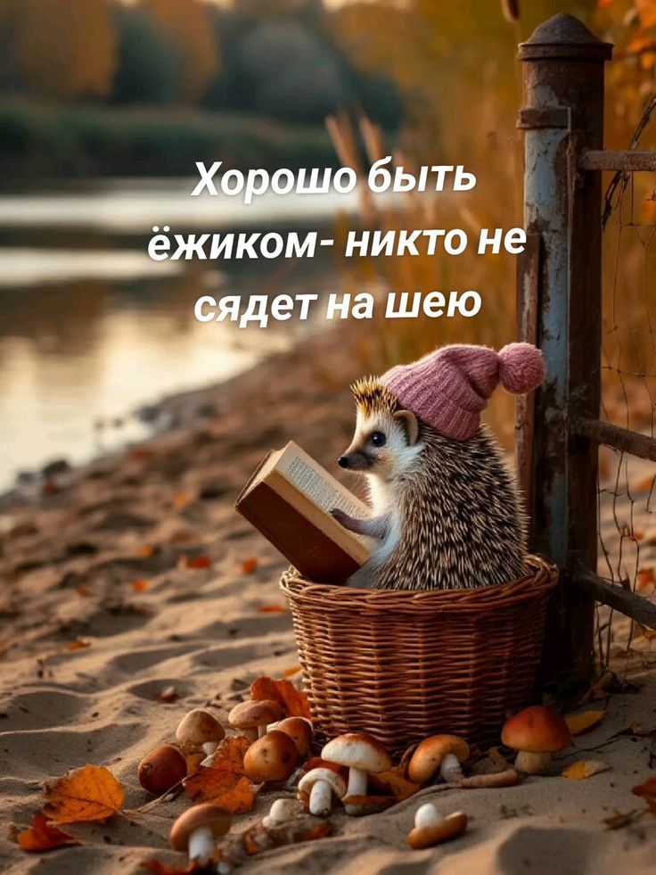 Хорошо быть ёжиком- никто не сядет на шею