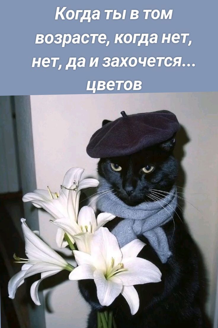 Когда ты в том возрасте, когда нет, нет, да и захочется... цветов