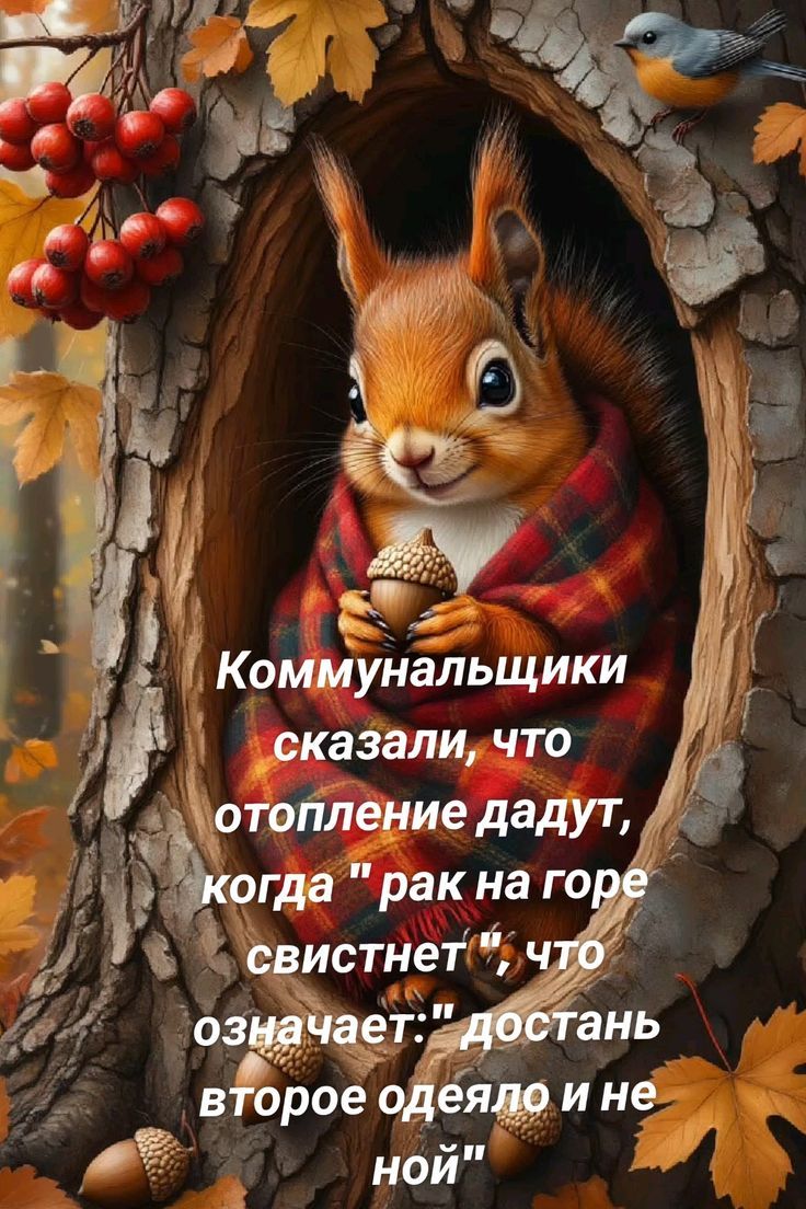 Коммунальщики сказали, что отопление дадут, когда 