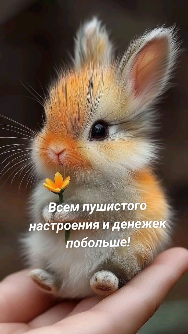 Всем пушистого настроения и денежек побольше!