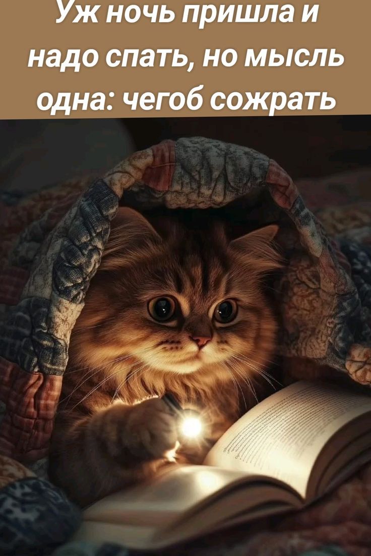 Уж ночь пришла и надо спать, но мысль одна: чего бы сожрать