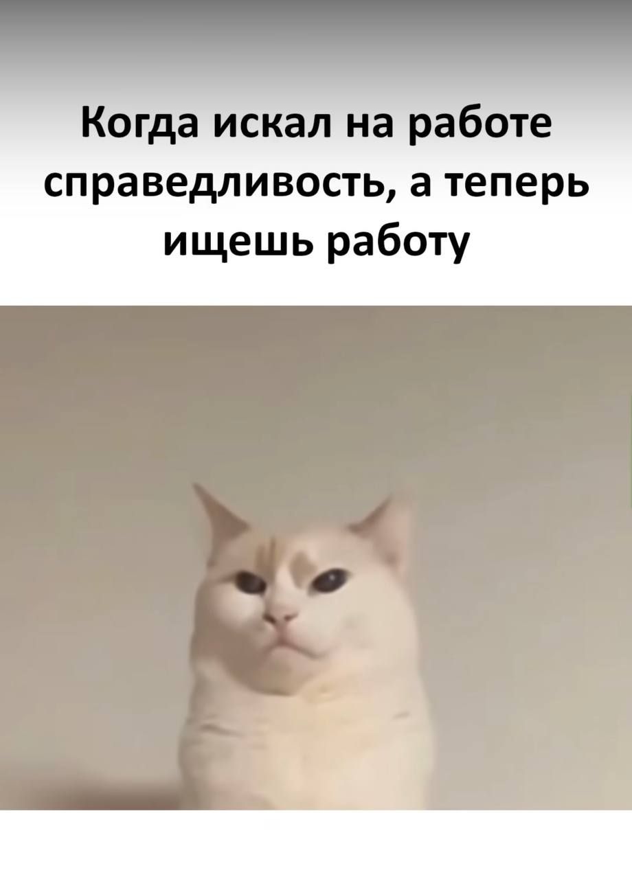 Когда искал на работе справедливость, а теперь ищешь работу