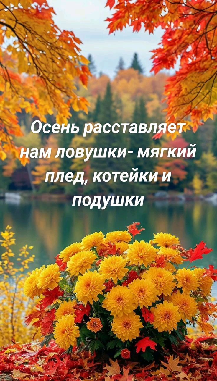 Осень расставляет нам ловушки- мягкий плед, котейки и подушки