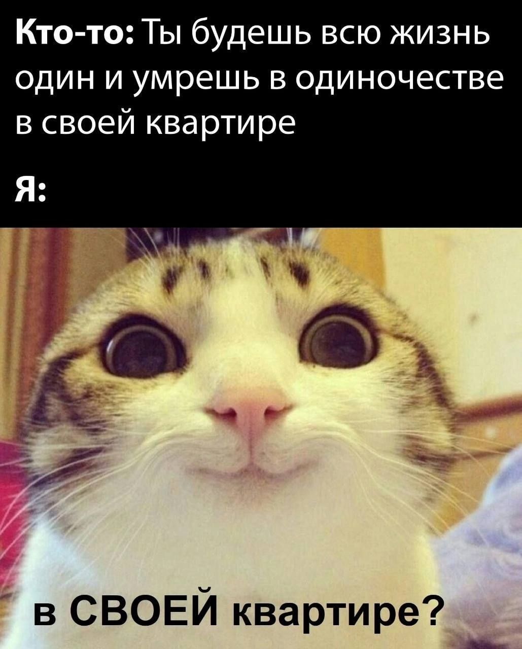 Кто-то: Ты будешь всю жизнь один и умрешь в одиночестве в своей квартире
Я: в СВОЕЙ квартире?