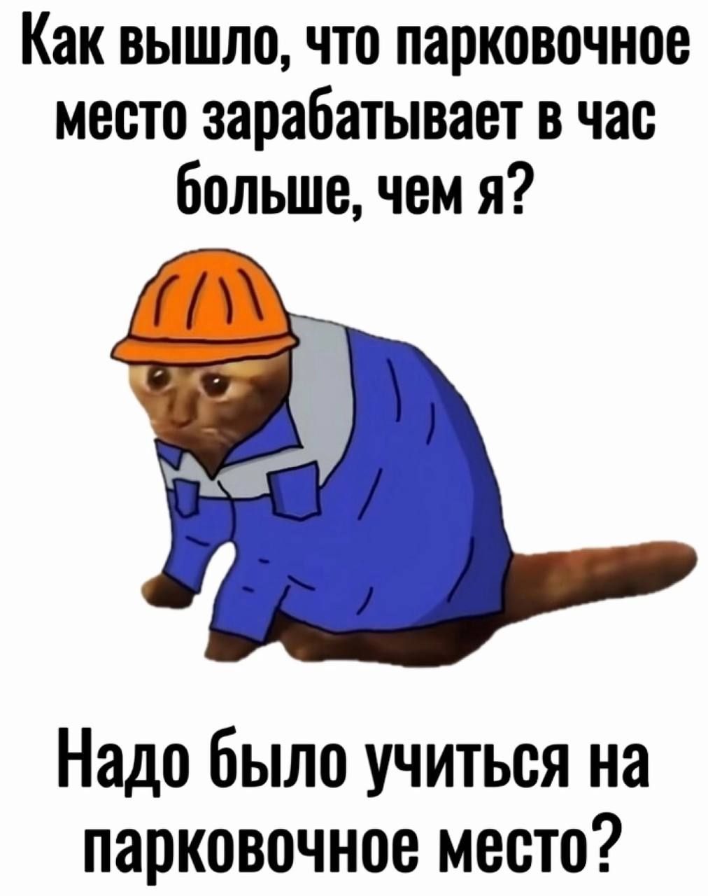 Как вышло, что парковочное место зарабатывает в час больше, чем я? Надо было учиться на парковочное место?