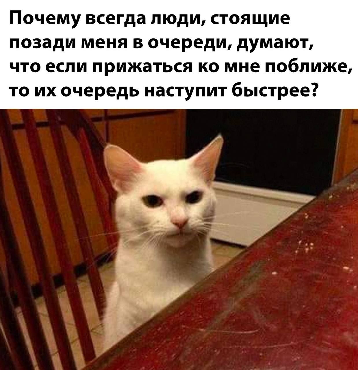 Почему всегда люди, стоящие позади меня в очереди, думают, что если прижаться ко мне поближе, то их очередь наступит быстрее?