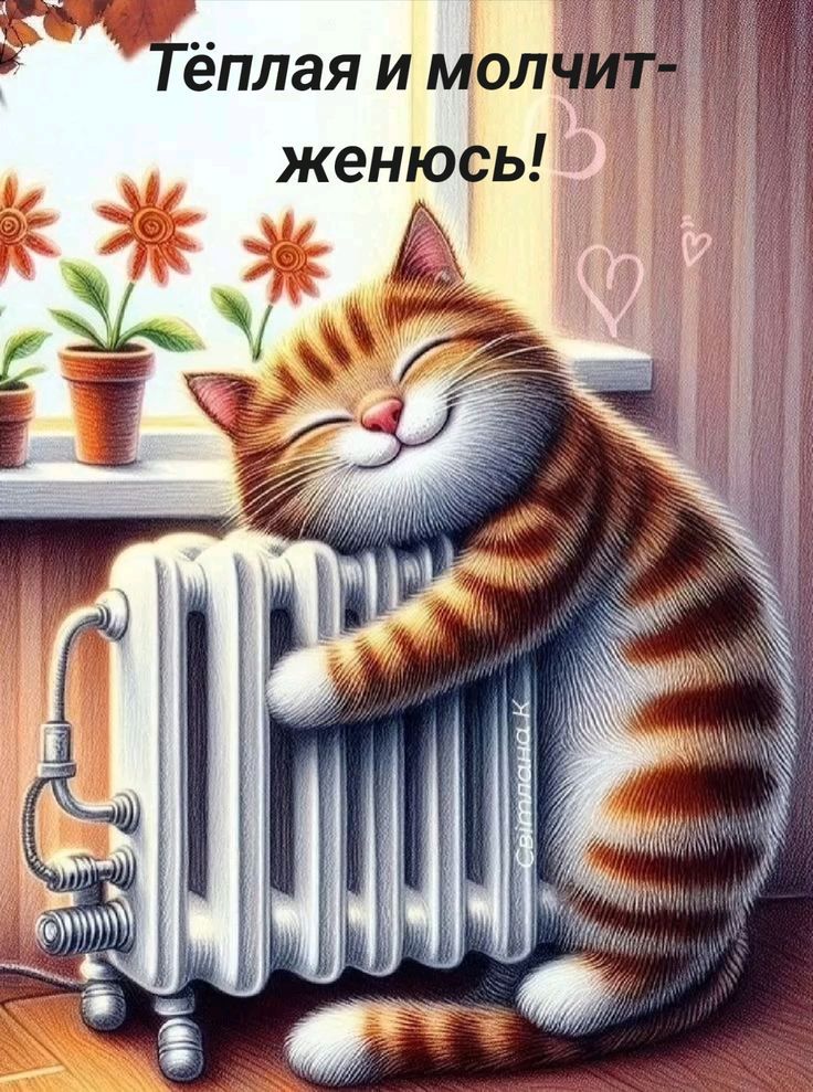 Тёплая и молчит- женюсь!