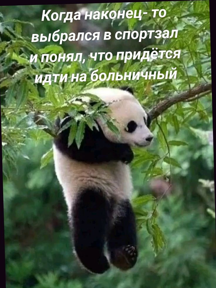 Когда наконец- то выбрался в спортзал и понял, что придётся идти на больничный