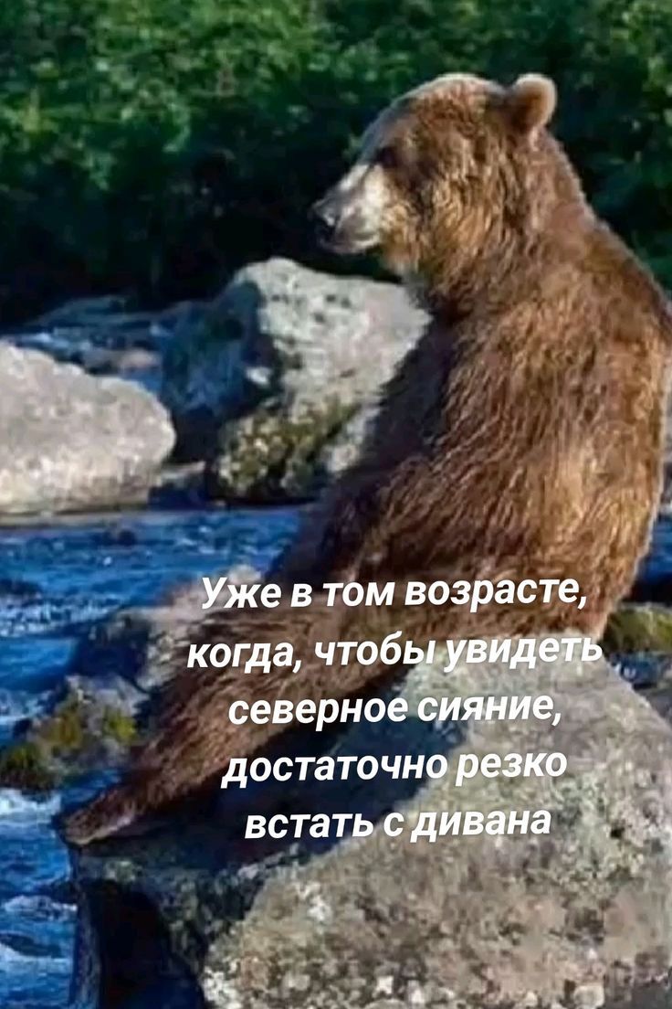 Уже в том возрасте, когда, чтобы увидеть северное сияние, достаточно резко встать с дивана