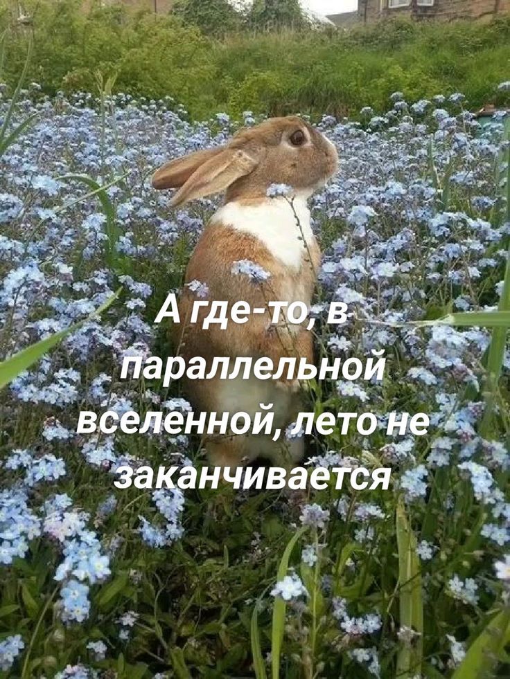 А где-то, в параллельной вселенной, лето не заканчивается