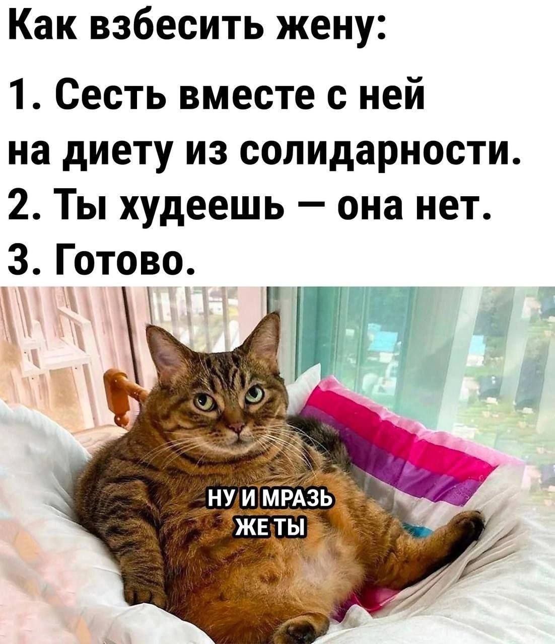 Как взбесить жену:
1. Сесть вместе с ней на диету из солидарности.
2. Ты худеешь — она нет.
3. Готово.

НУ И МРАЗЬ ЖЕ ТЫ