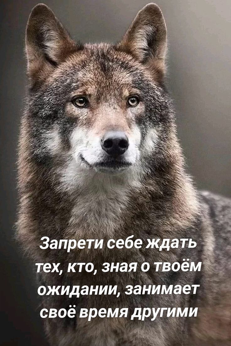 Запрети себе ждать тех, кто, зная о твоём ожидании, занимается своё время другими.