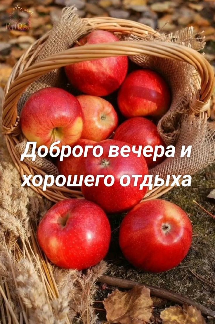 Доброего вечера и хорошего отдыха