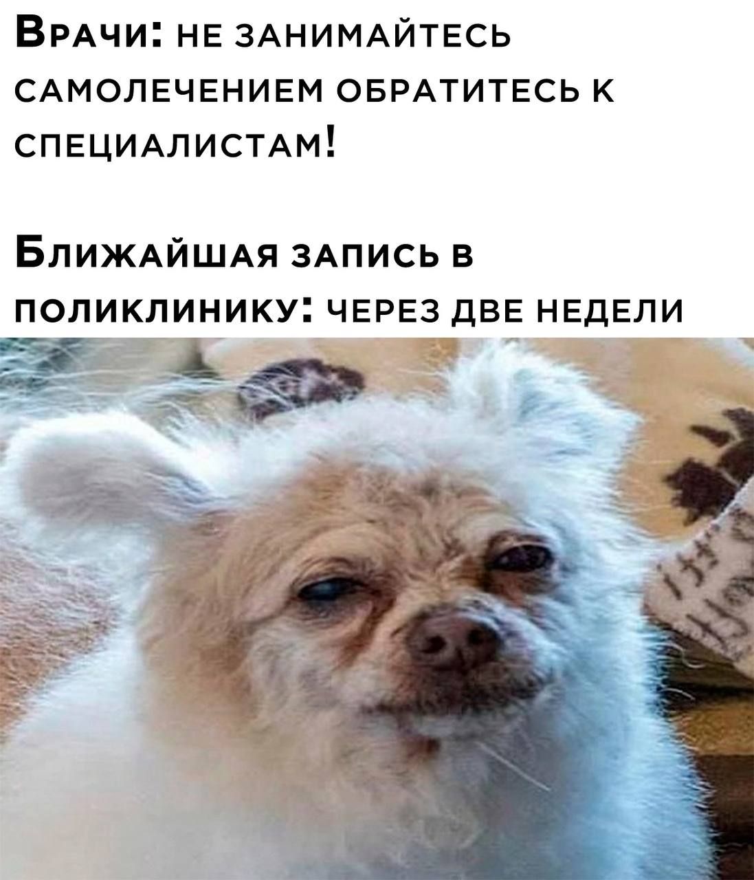 Врачи: не занимайтесь самолечением, обратитесь к специалистам! Ближайшая запись в поликлинику: через две недели.