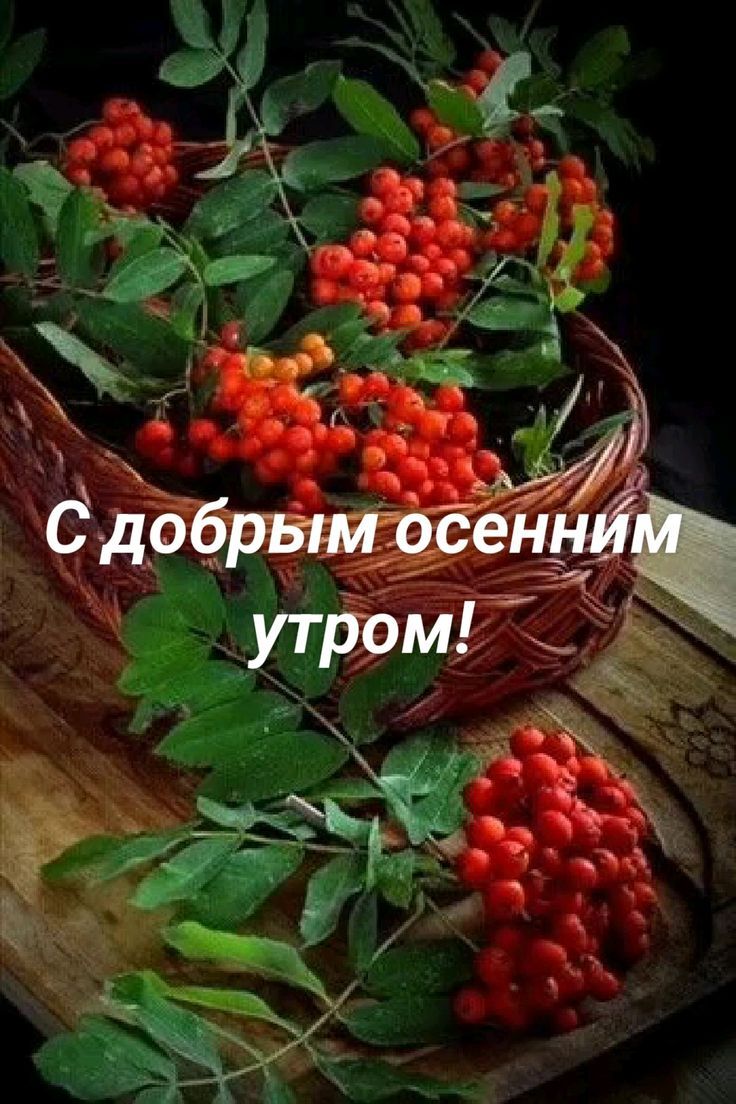 С добрым осенним утром!