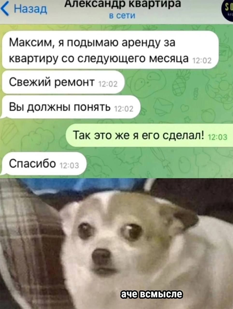 Максим, я поднимаю аренду за квартиру со следующего месяца
Свежий ремонт
Вы должны понять
Так это же я его сделал!
Спасибо