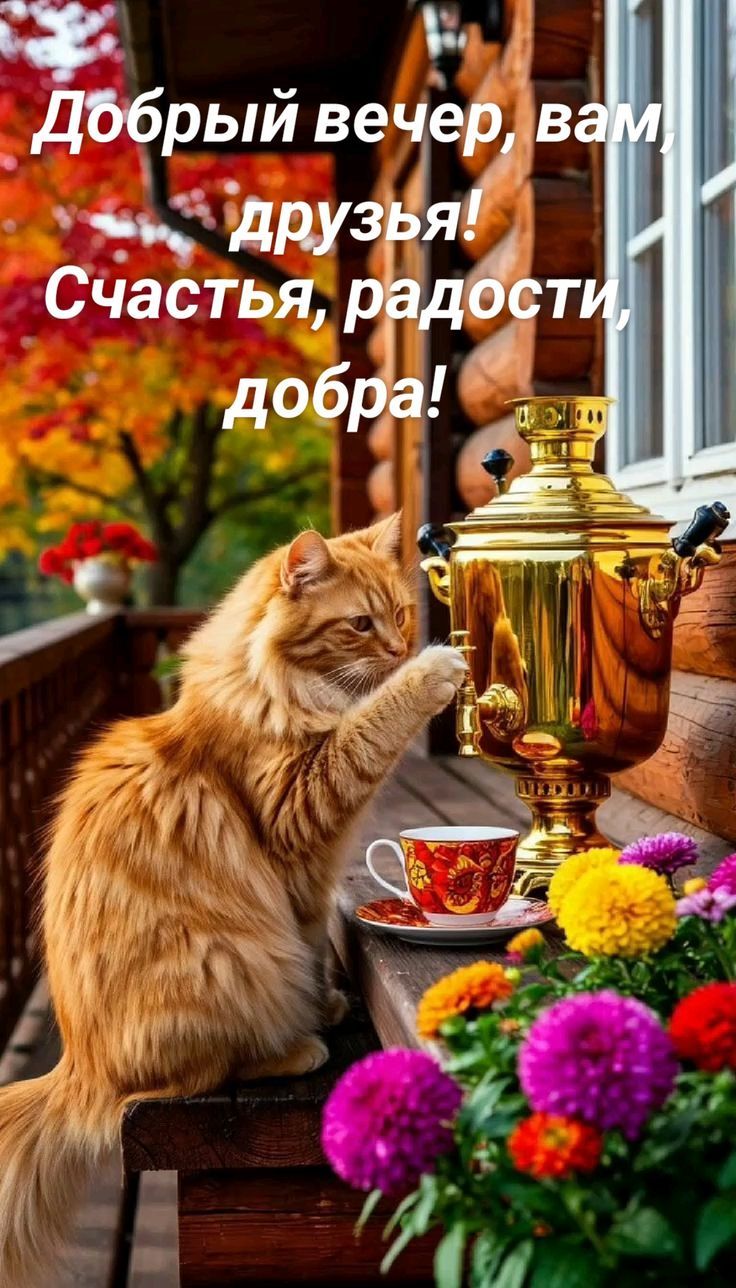 Добрый вечер, вам, друзья! Счастья, радости, добра!