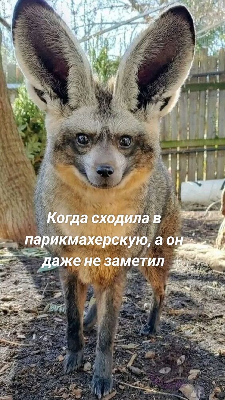 Когда сходила в парикмахерскую, а он даже не заметил