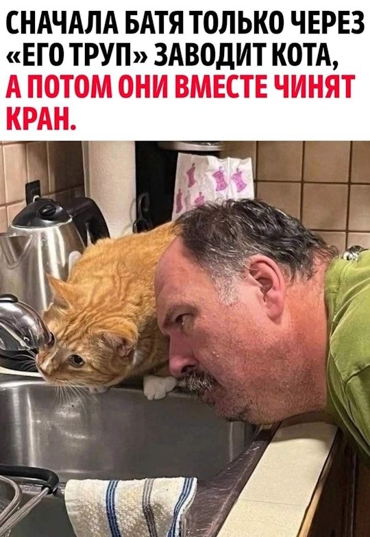 Сначала батя только через «его труп» заводит кота, а потом они вместе чинят кран.