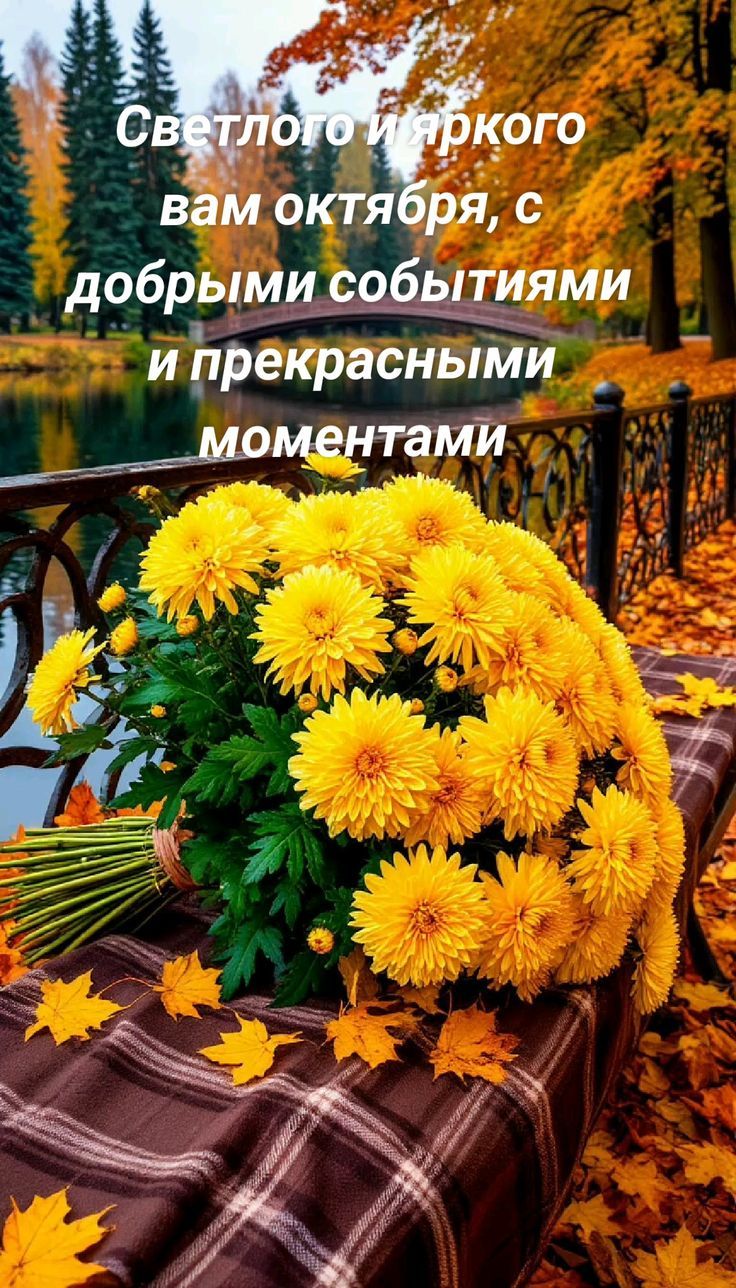 Светлого и яркого вам октября, с добрыми событиями и прекрасными моментами
