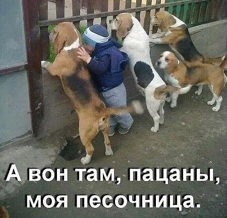 А вон там, пацаны, моя песочница.