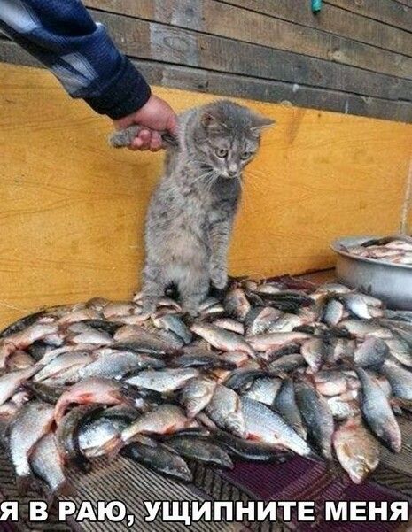 Я в раю, ущипните меня