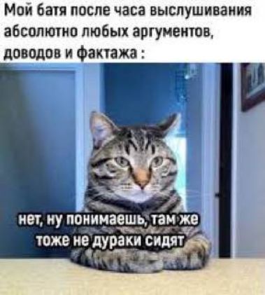 Мой батя после часа выслушивания абсолютно любых аргументов, доводов и фактажа : нет, ну понимаешь, там же тоже не дураки сидят