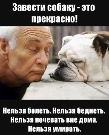 Завести собаку - это прекрасно!

Нельзя болеть. Нельзя беднеть. Нельзя ночевать вне дома. Нельзя умирать.
