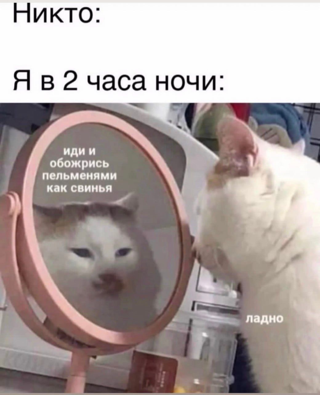 Никто: Я в 2 часа ночи: иди и обожрись пельменями как свинья ладно