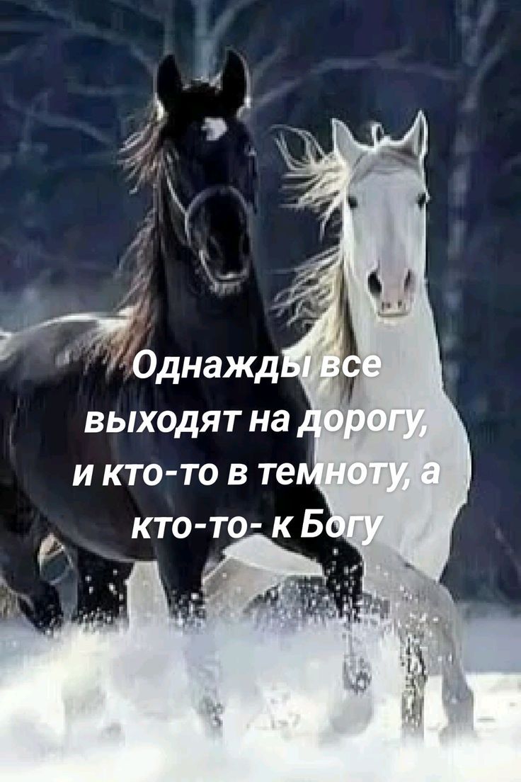 Однажды все выходят на дорогу, и кто-то в темноту, а кто-то - к Богу.